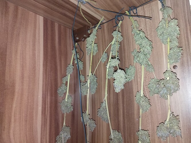 Growreport Bild 46