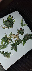 Growreport Bild 19