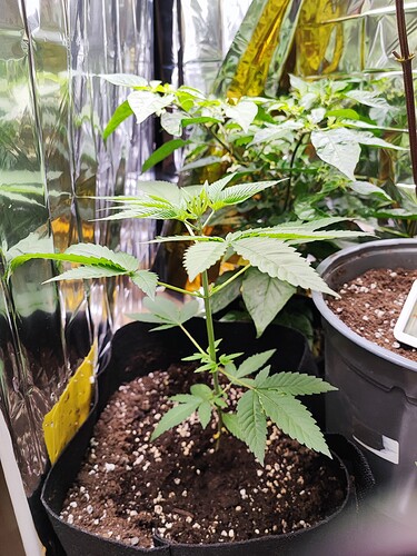 Growreport Bild 2