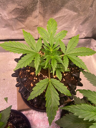 Growreport Bild 10