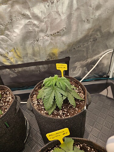 Growreport Bild 13