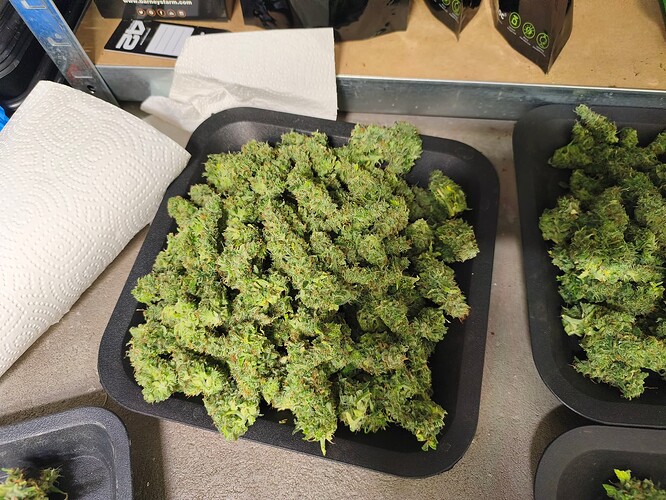 Growreport Bild 3