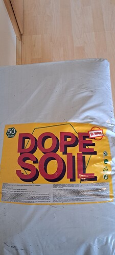 Growreport Bild 6