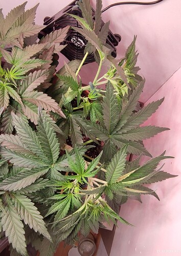 Growreport Bild 13