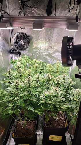 Growreport Bild 10