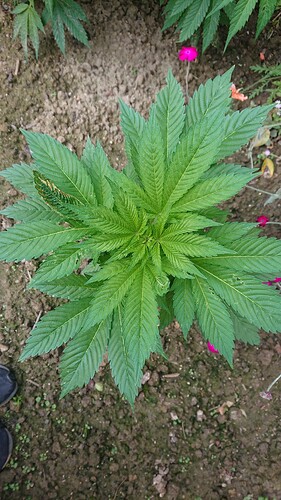 Growreport Bild 23