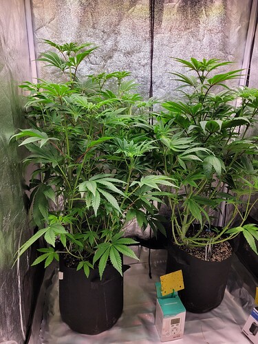 Growreport Bild 16