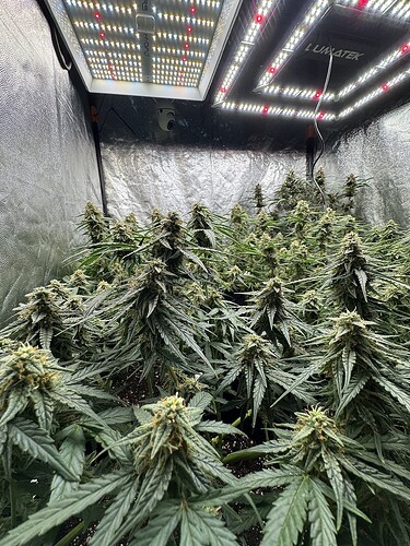 Growreport Bild 8