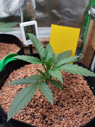 Growreport Bild 7