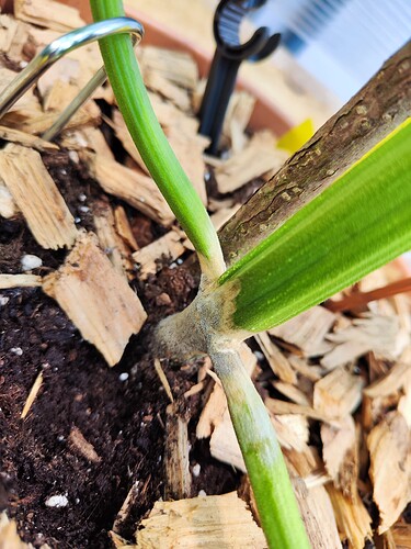 Growreport Bild 14