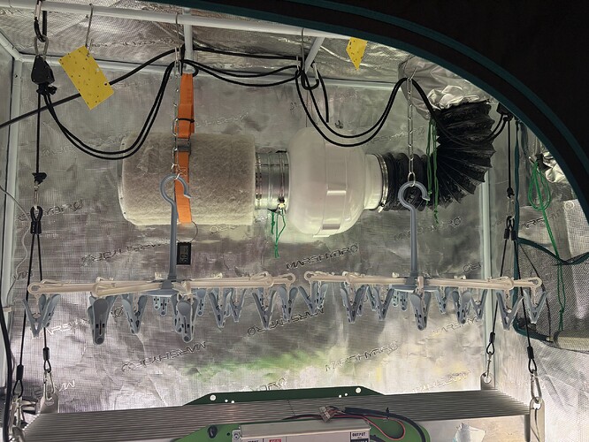 Growreport Bild 9