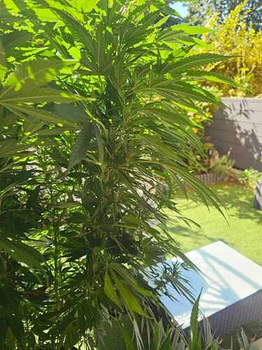 Growreport Bild 4