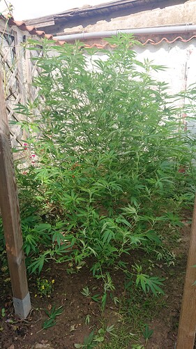 Growreport Bild 17