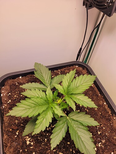 Growreport Bild 9