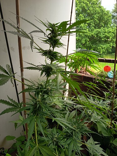 Growreport Bild 11