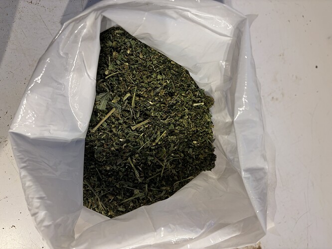 Growreport Bild 29