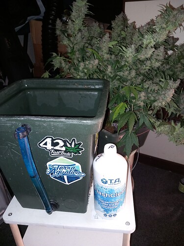Growreport Bild 4