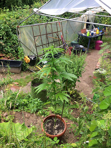 Grow26_0702_18