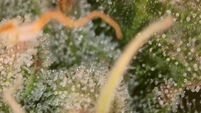 2025-10-22-075610534