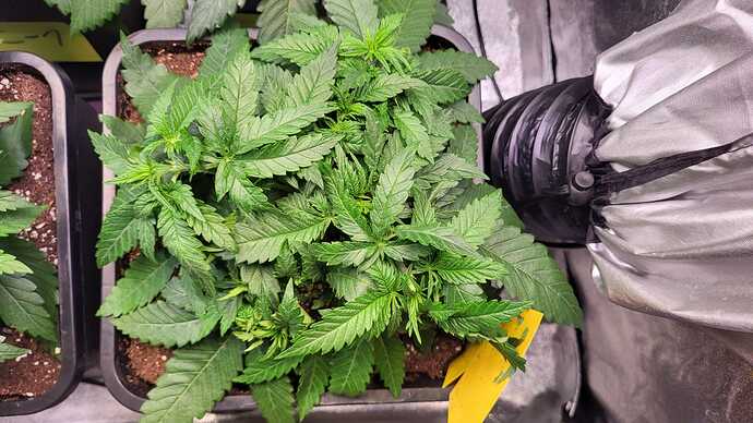 Growreport Bild 15