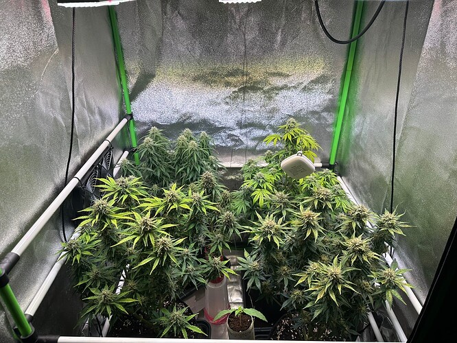 Growreport Bild 26