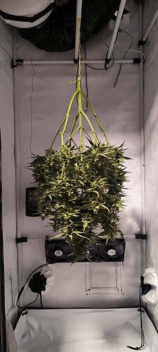 Growreport Bild 19