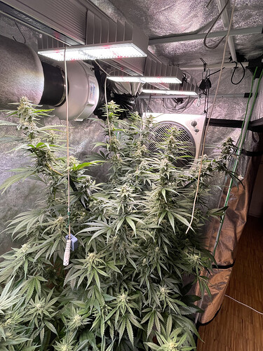 Growreport Bild 2