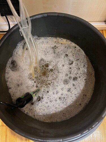 Growreport Bild 35