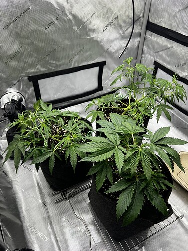 Growreport Bild 4
