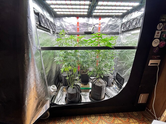 Growreport Bild 1