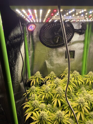 Growreport Bild 57