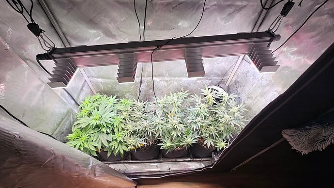 Growreport Bild 14