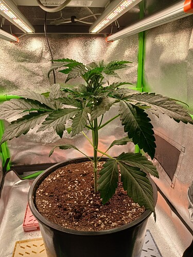 Growreport Bild 16