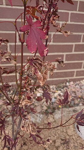 Growreport Bild 25