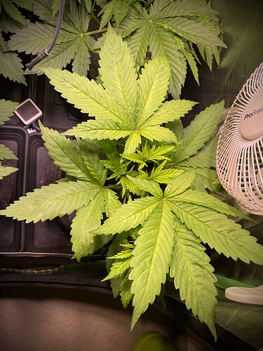 Growreport Bild 6