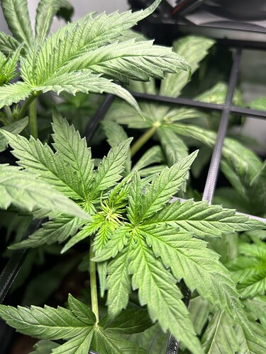 Growreport Bild 10