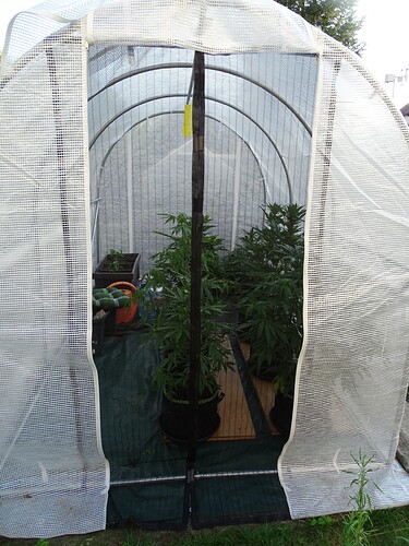 Growreport Bild 19