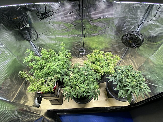 Growreport Bild 15