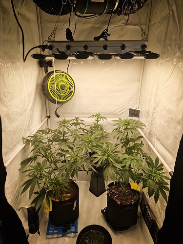 Growreport Bild 25