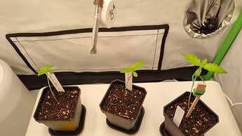 WhatsApp Image 2024-04-30 at 20.46.25