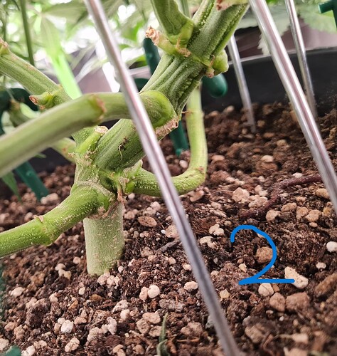 Growreport Bild 2