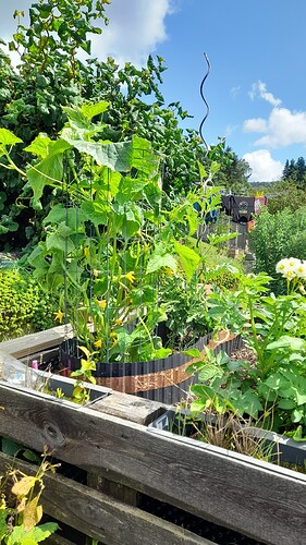 Growreport Bild 32