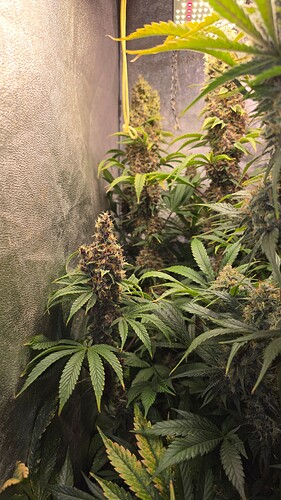 Growreport Bild 7