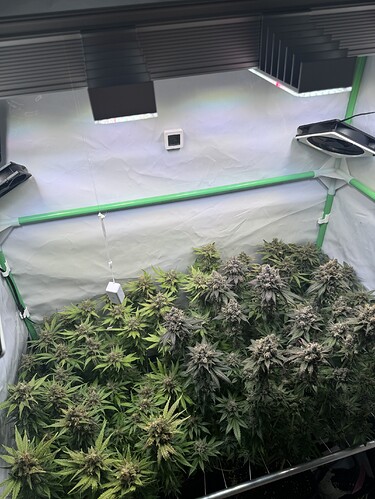 Growreport Bild 43