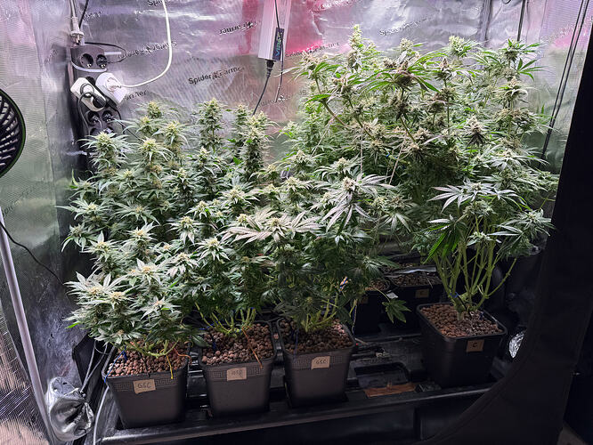 Growreport Bild 13