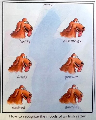 far-side-moods-of-an-irish-setter