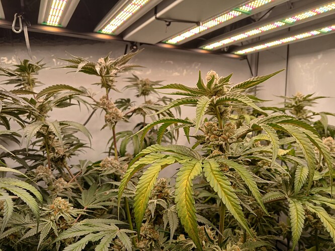 Growreport Bild 8