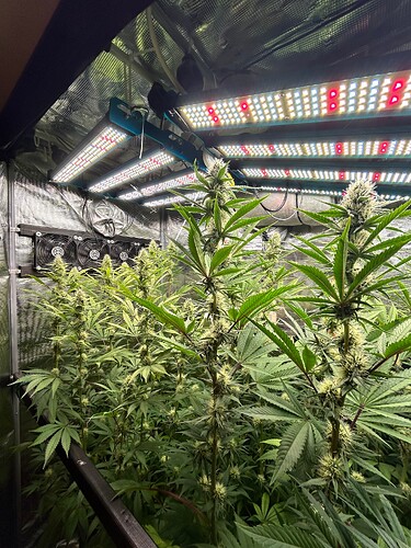 Growreport Bild 3