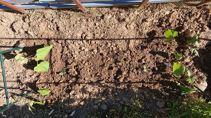 Growreport Bild 18