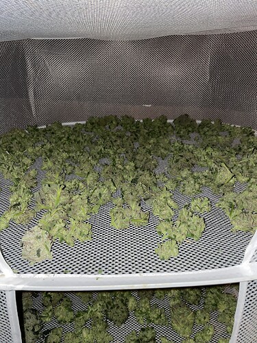 Growreport Bild 21